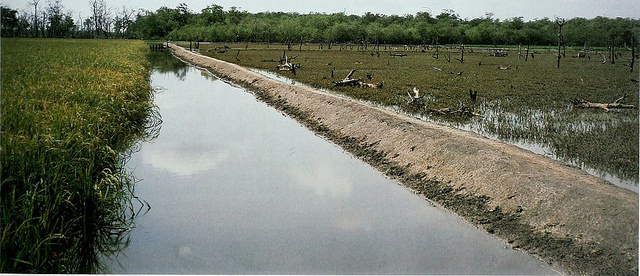 Farmer irrigation