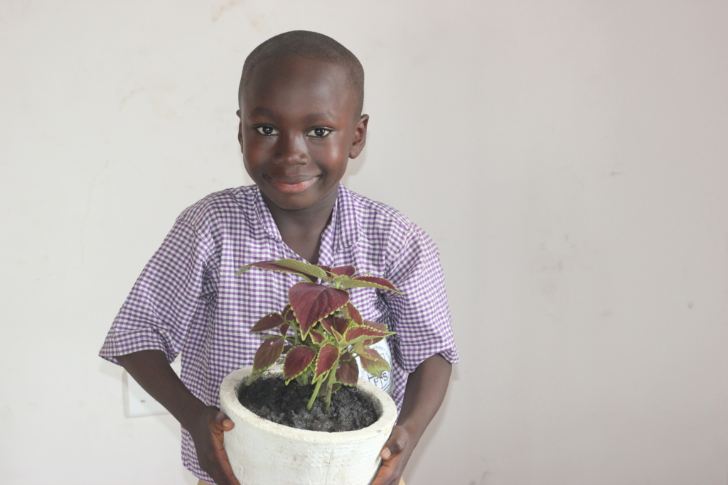 Boy holding plant 