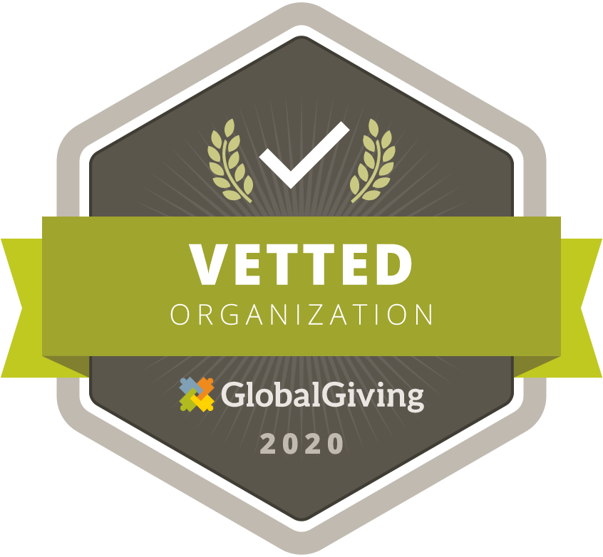 Vetted 2020 organization Develop Africa